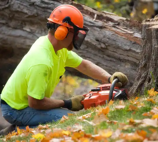 tree services Deckerville